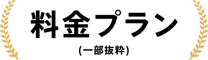 料金プラン(一部抜粋)