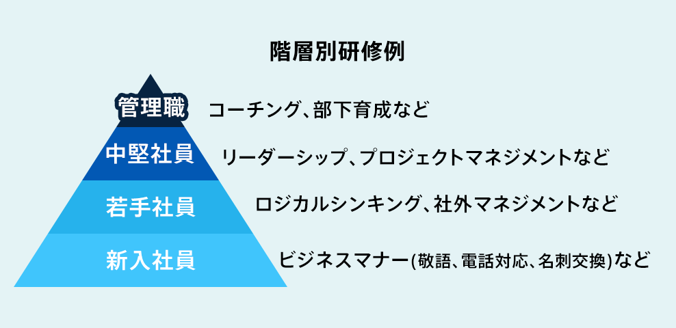 階層別研修例